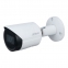 IP-камера Dahua DH-IPC-HFW2230SP-S-S2 (2.8 мм) 2 Mп 0